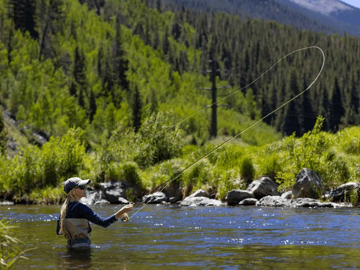 Pigeon River Fly Fishing: Exploring the Tranquil Waters